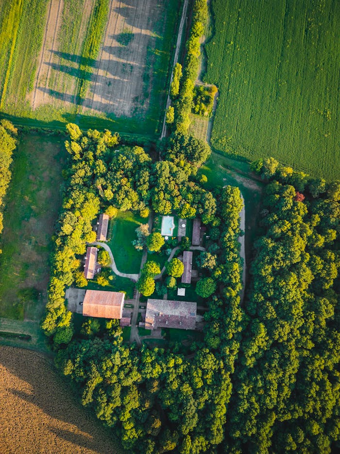 about-us Pexels Photo 35116774